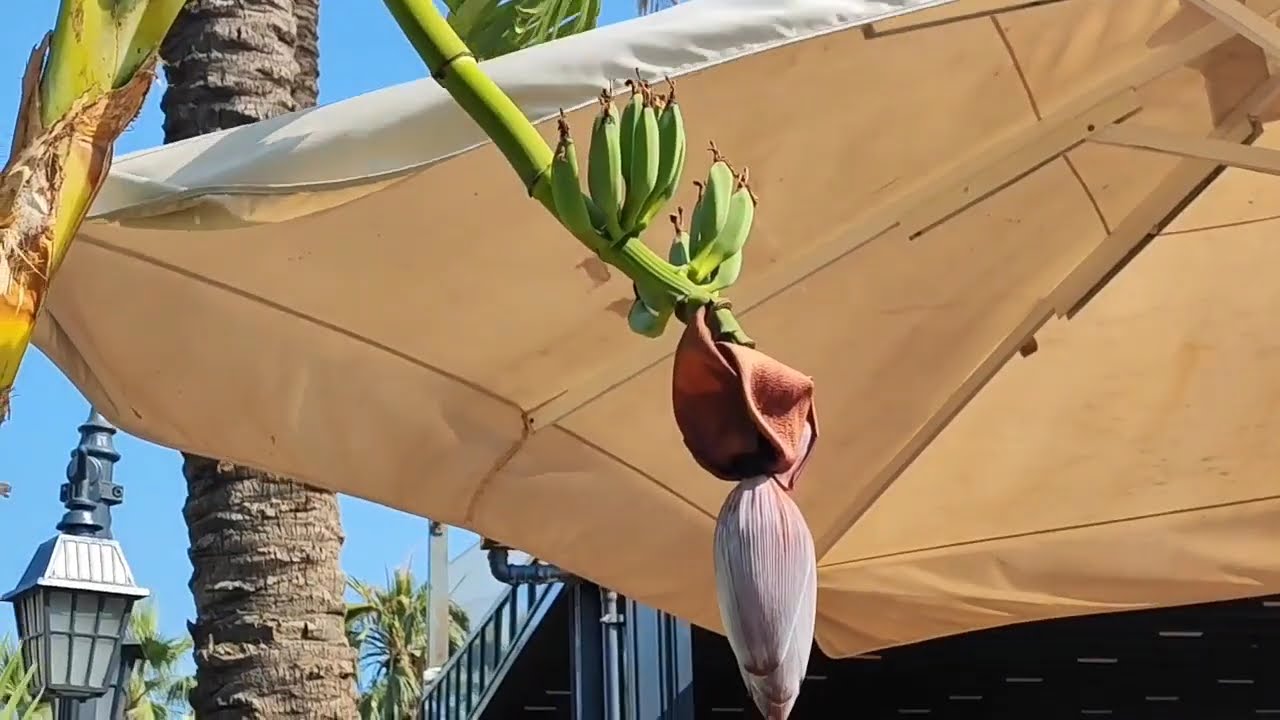 Море, отдых в Мармарисе и Турунче ❤️🤗
