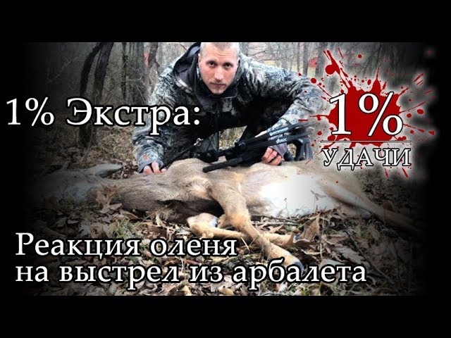 1 Экстра: Как олень уворачивается от стрелы