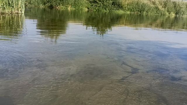 прозрачные воды Рановы