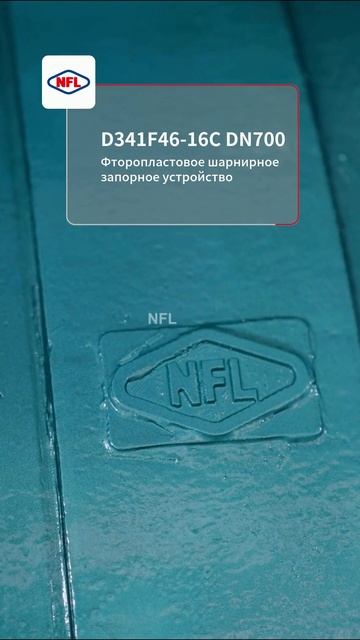 D341F46-16C DN700 Фторопластовое дисковое запорное устройство-NFL.