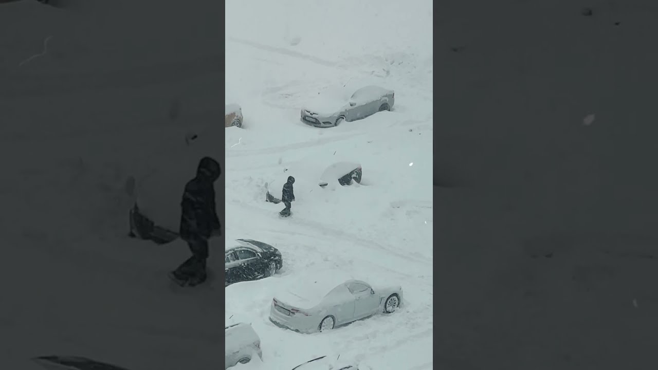 Снегопад это стихия, которая одних восхищает, других утомляет..)