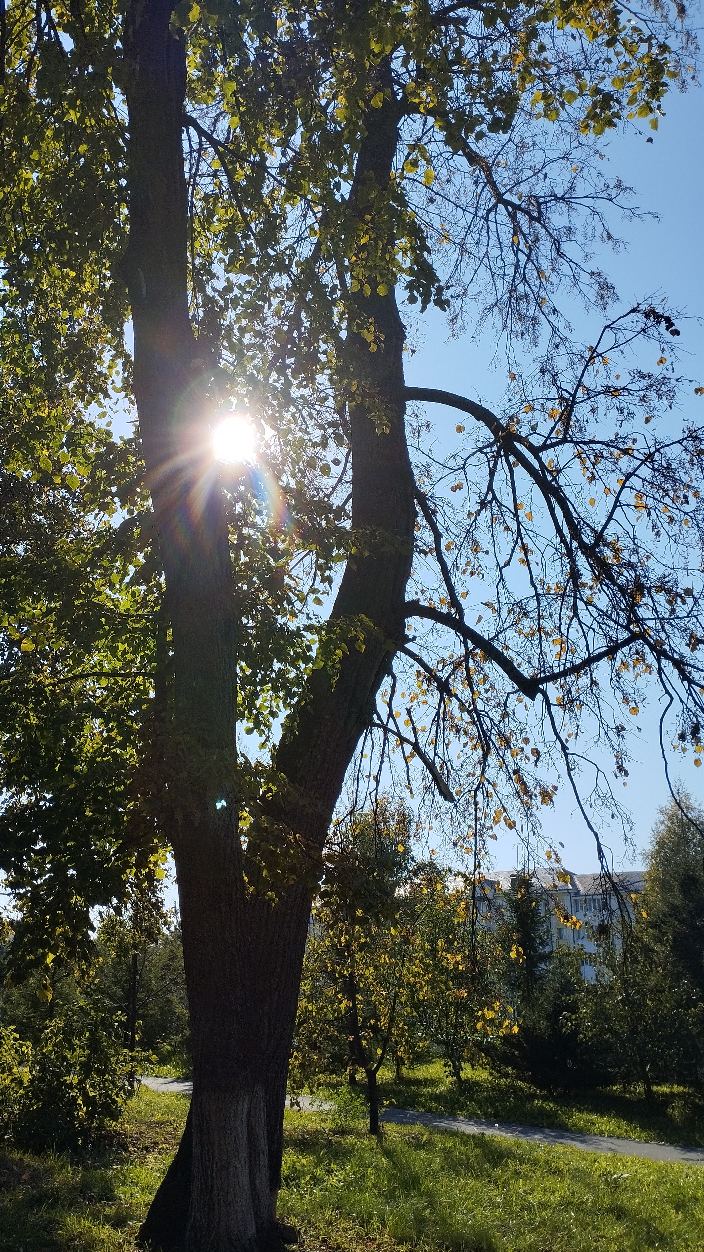 Осень рисует пейзажи 