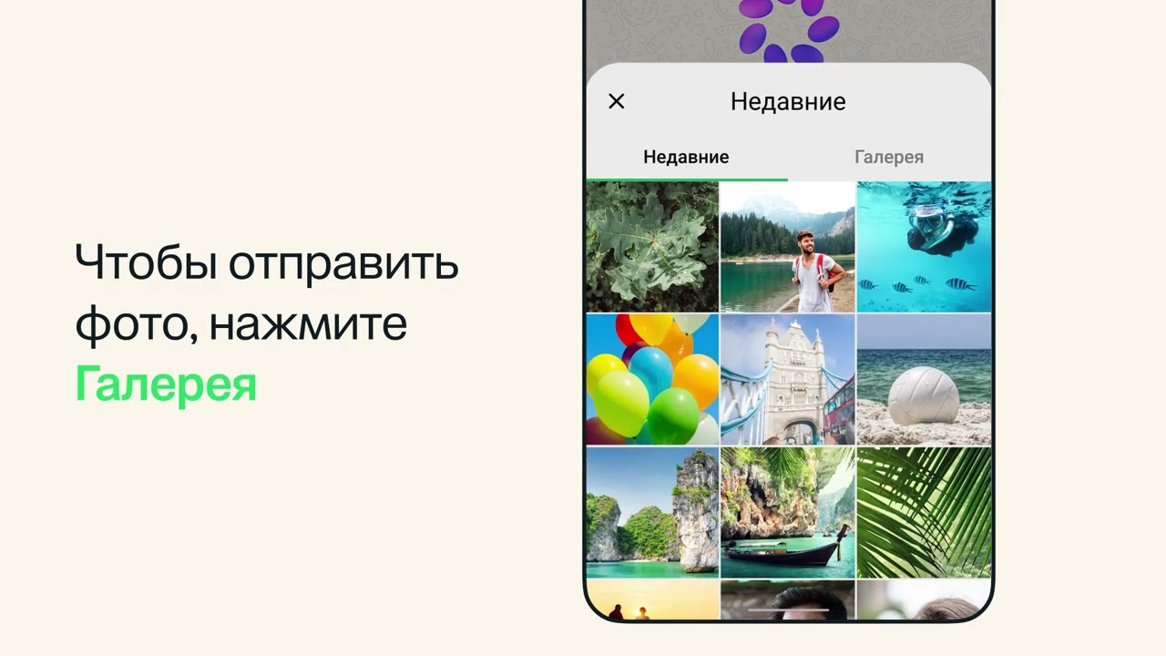 Как отправить Meta AI запрос с файлом или фото  WhatsApp