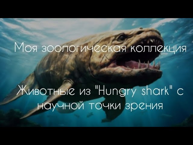 животные из вселенной Hungry shark с научной точки зрения