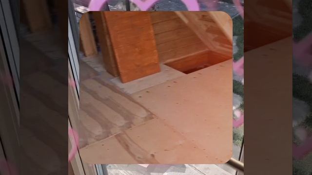 1000070965.mp4 Собака смотрит на планирование подготовки к устройству отопления в доме А-фрейм