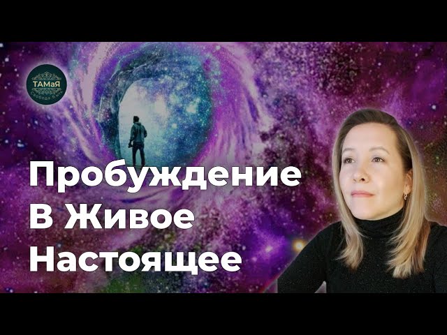 ТАМаЯЖИВОЕ НАСТОЯЩЕЕ