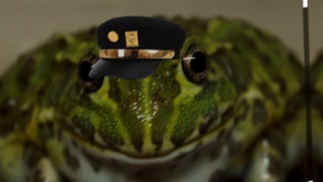 джоджолягушка