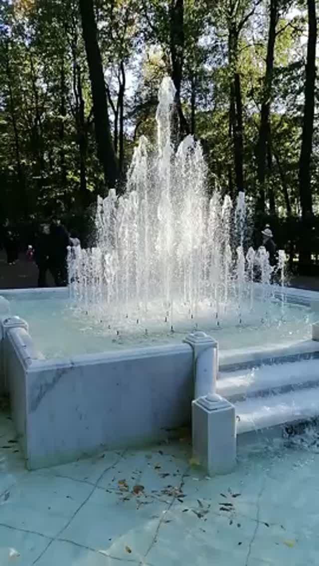 ВОСЬМИГРАННЫЙ ФОНТАН ЛЕТНЕГО САДА