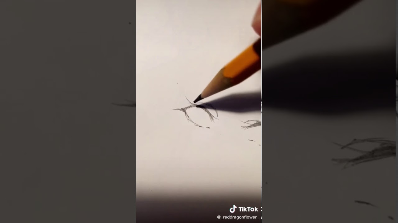 Туториалы из тик.тока