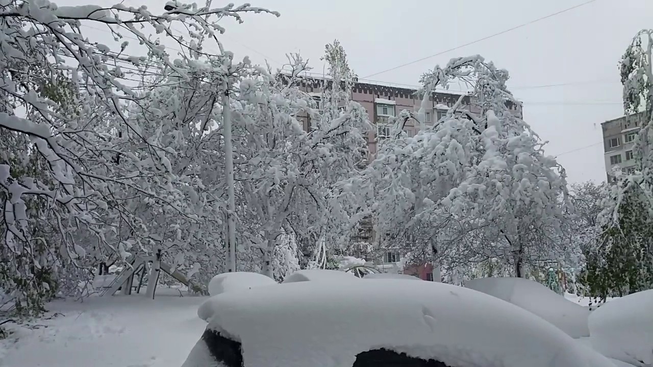 Кишинев. Снегопад. Стихия - 21.04.2017.