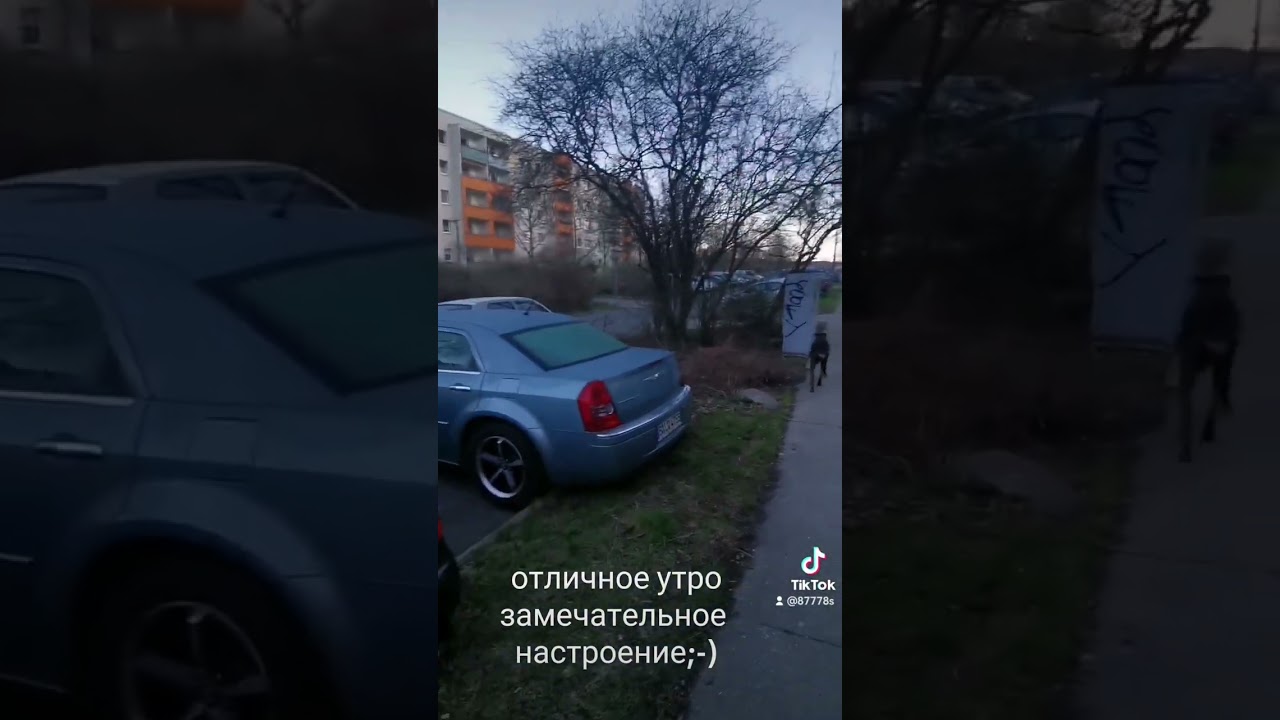утро выгул Берлин