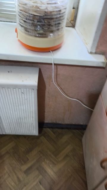Заготовка грибов