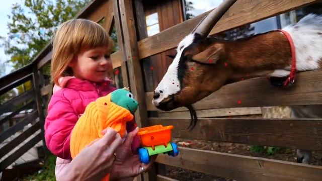 Бьянка и Маша Капуки на городской ферме в Москве - Привет, Бьянка