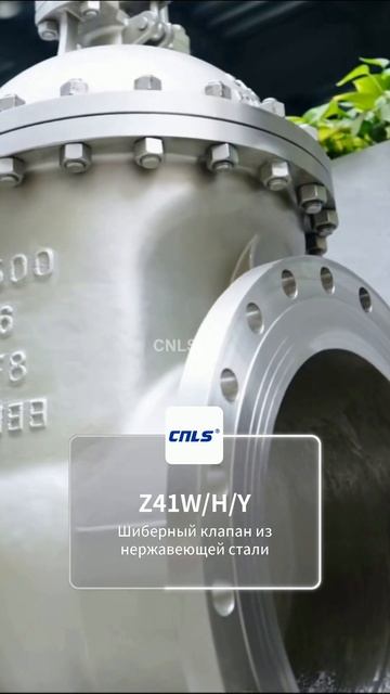Задвижка из нержавеющей стали Z41W/H/Y-CNLS #Клапан #Нержавейка