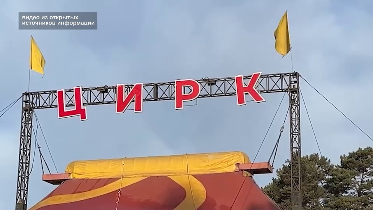 ТРЁХЛЕТНЕГО МАЛЬЧИКА ПОКУСАЛА ПАНТЕРА В ЦИРКЕ