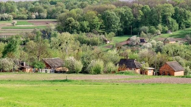 ВЛОГДЕРЕВЕНСКИЙ ДЕНЬ СЕЛЯНОЧКИДеревня.