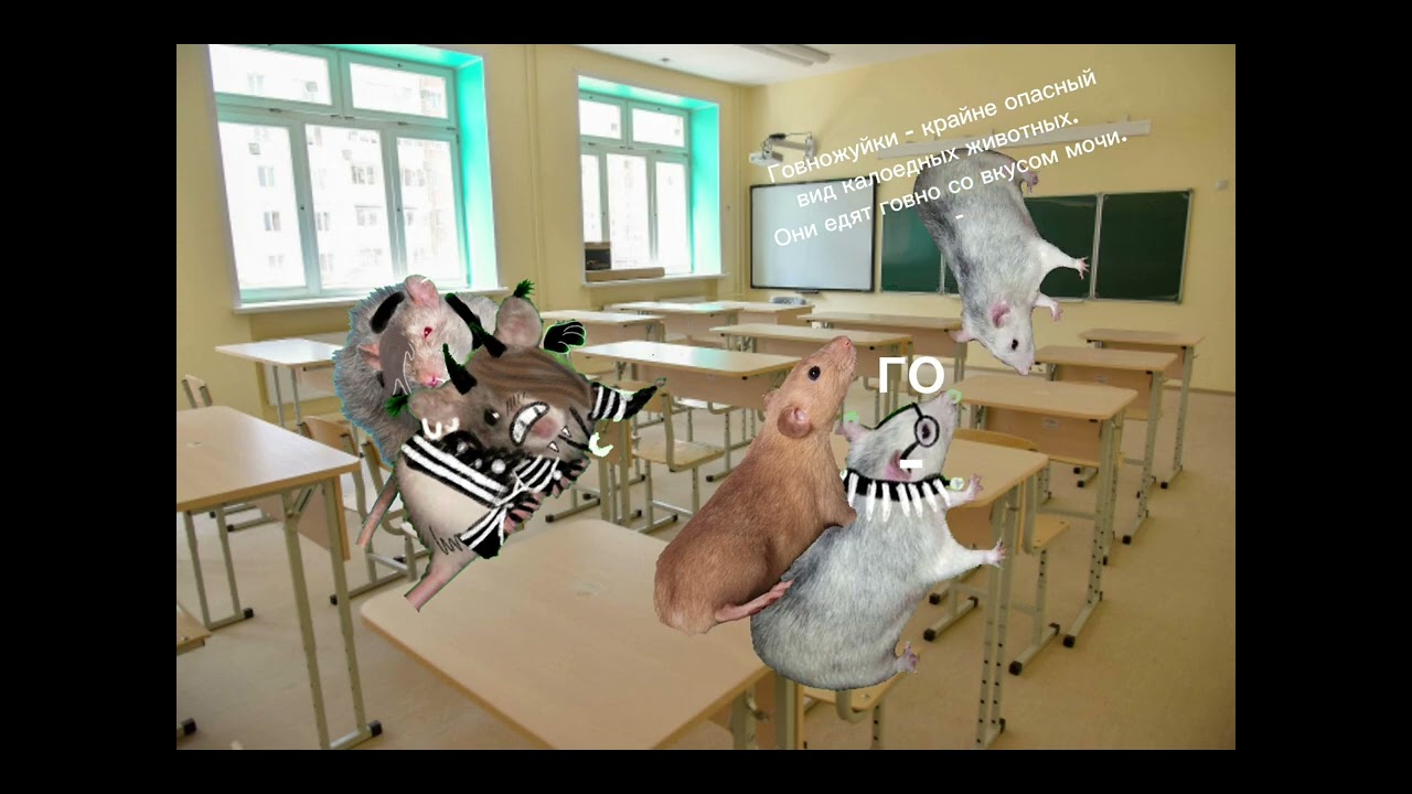 Эмо крысы часть 1 крысы эмо эмо_крысы