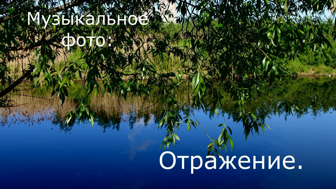 Музыкальное фото : Отражение.