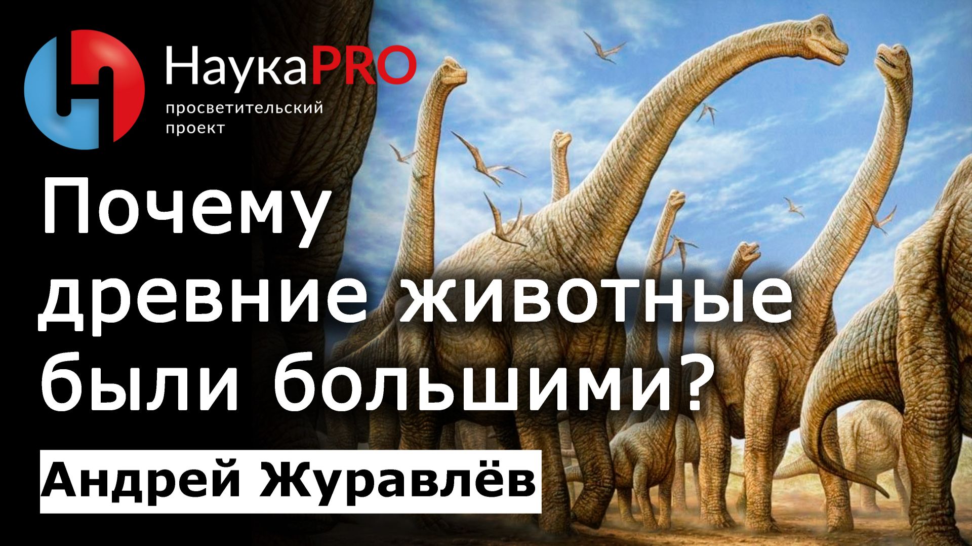 Почему древние животные были большими?  Андрей Журавлёв  Лекции по палеонтологии