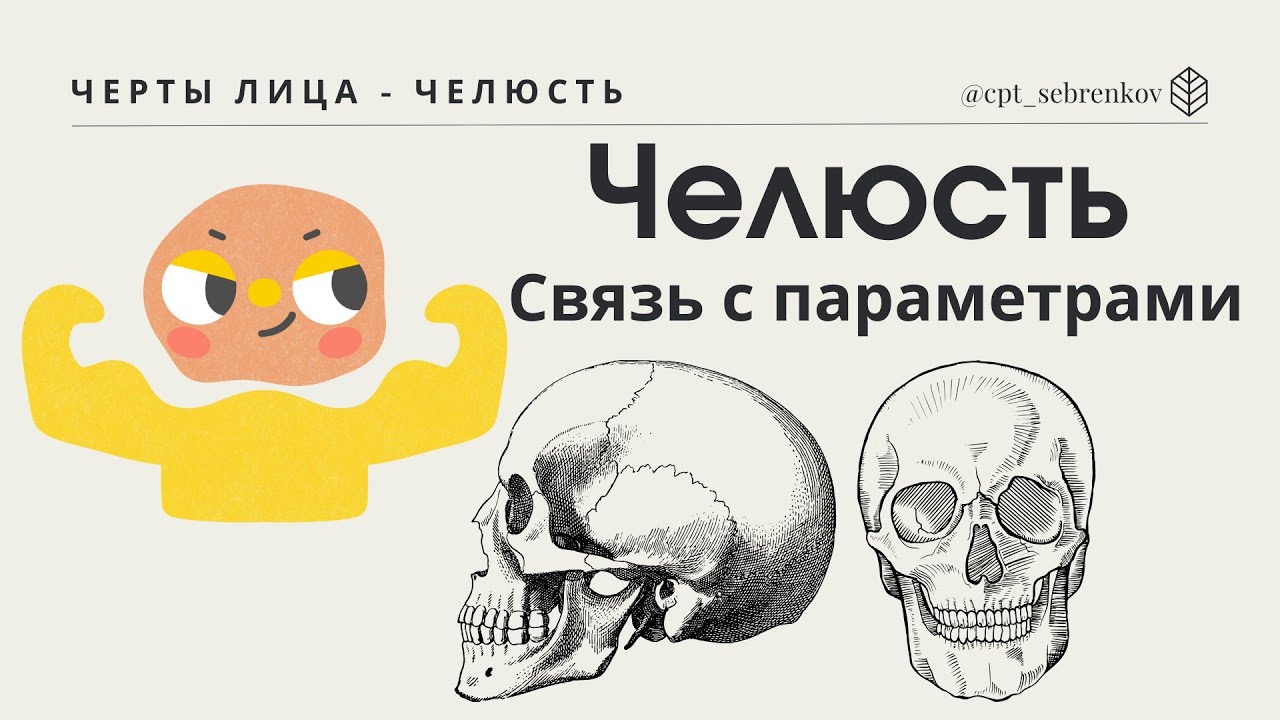 Челюстная и интеллектуальная нагрузки
