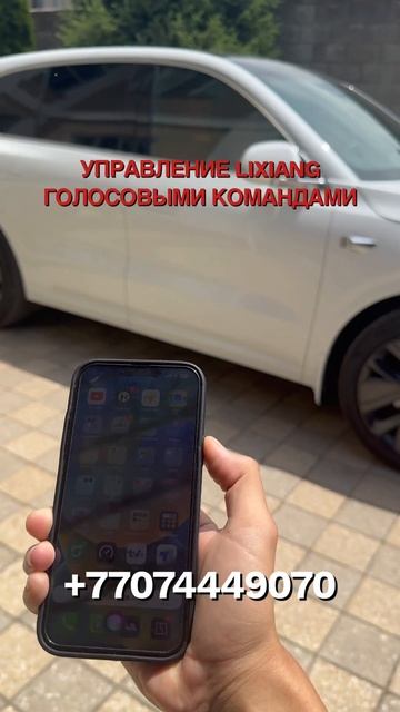 Голосовое управление Lixiang на русском языке