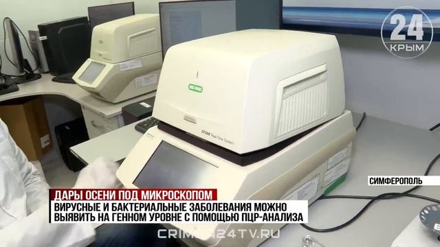 Сезон овощей: что в них можно обнаружить и как избежать вредных наполнителей?