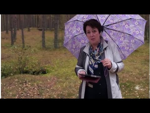 519. В.О. - Вопрос веры или почему не происходит желаемое?