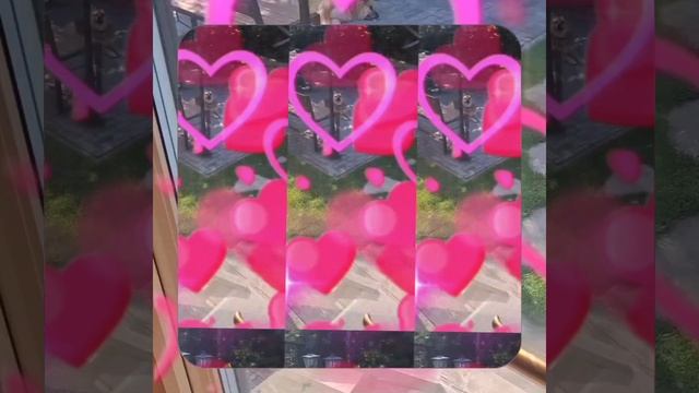 1000070948.mp4 Собака смотрит на планирование подготовки к устройству отопления в доме А-фрейм