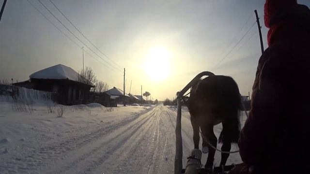 Деревня и конь