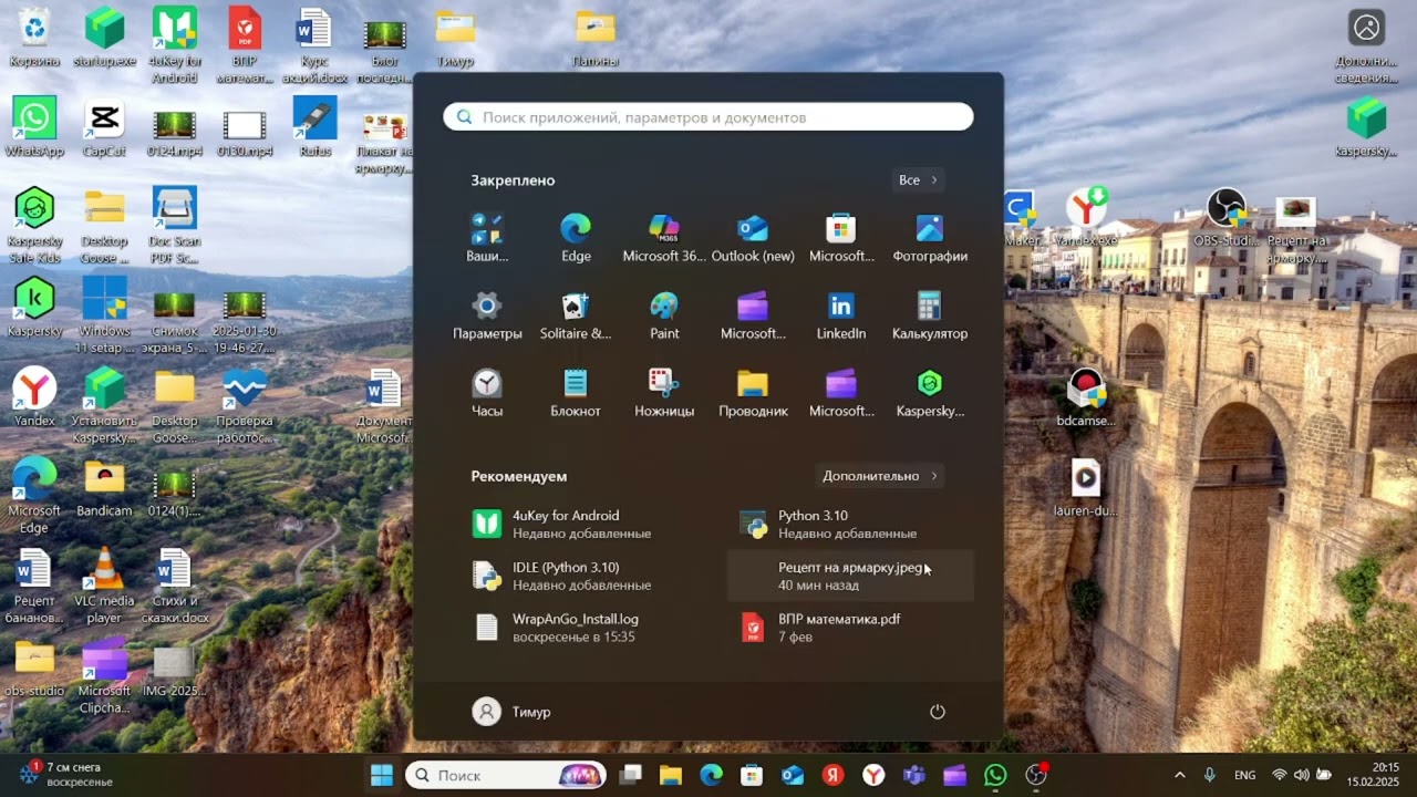 Гусь бегает по моему компьютеру  Видеообзор Desktop Goose