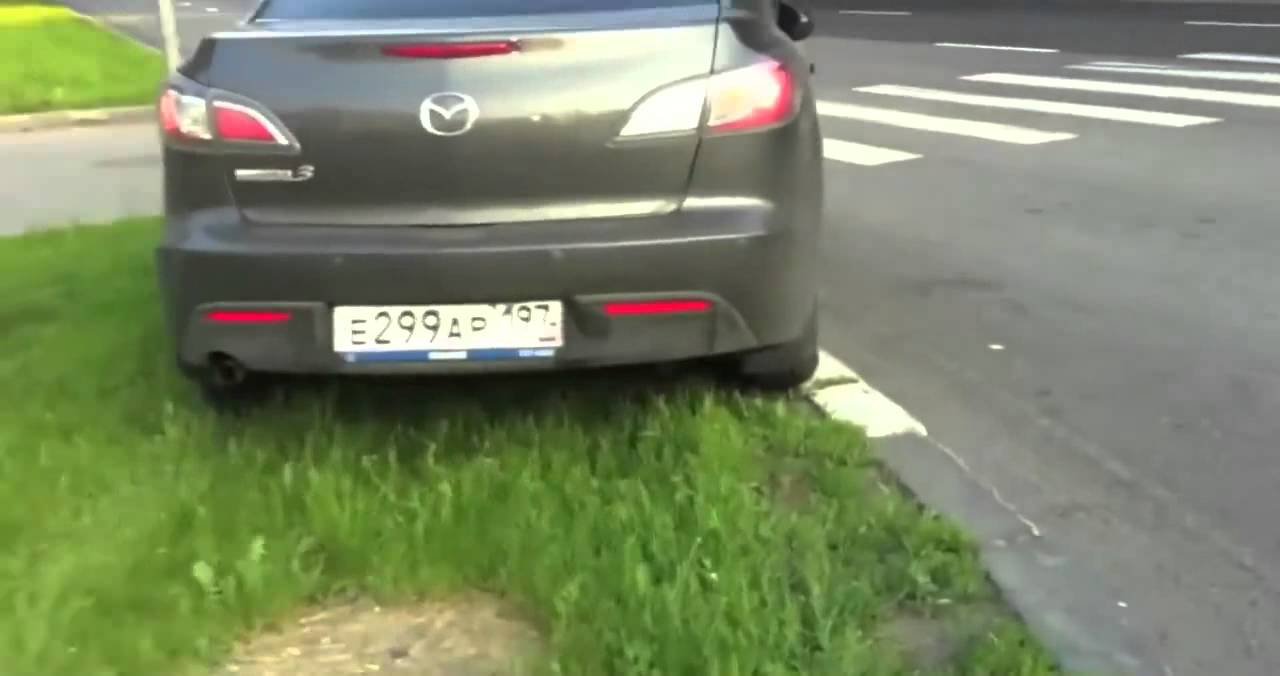 Давидыч ТП с собачкой устроила аварию! 18 много мата