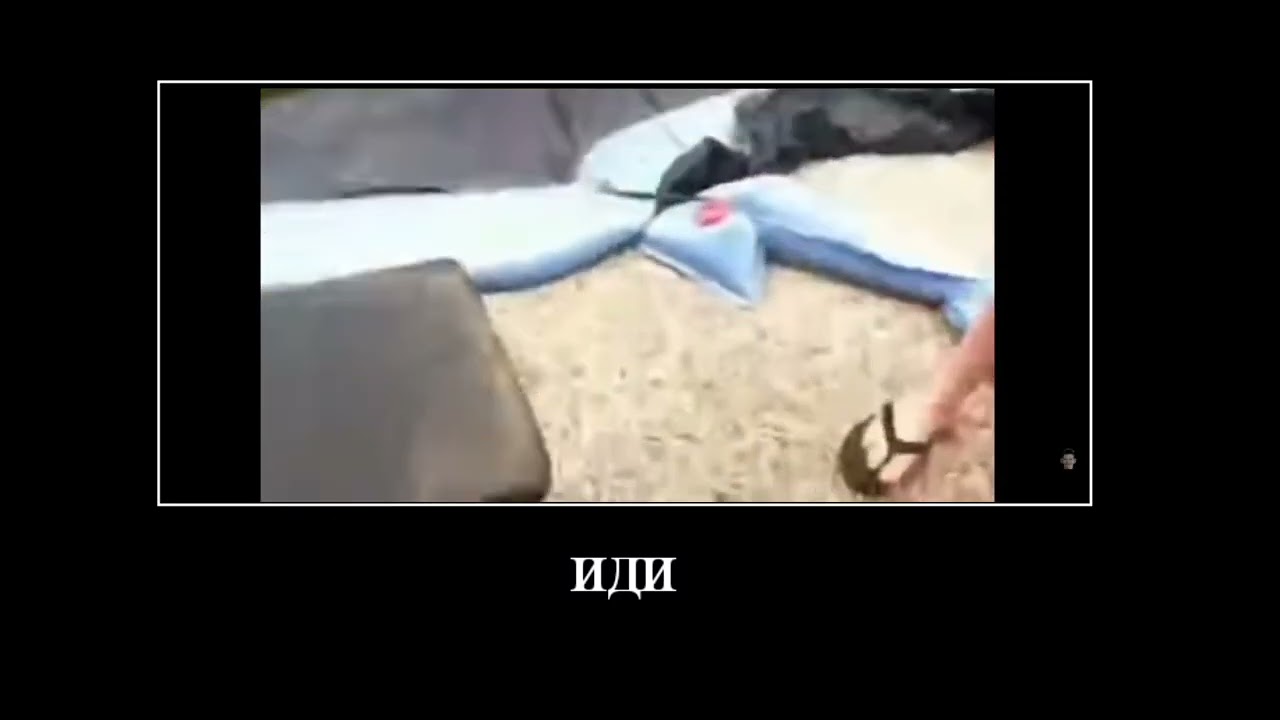 собака кричит та тебя 3