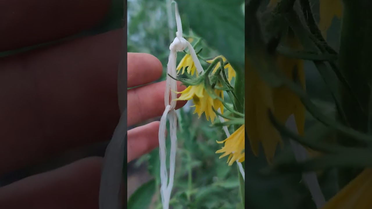 Лайфхак - как подвязать тяжёлые кисти.