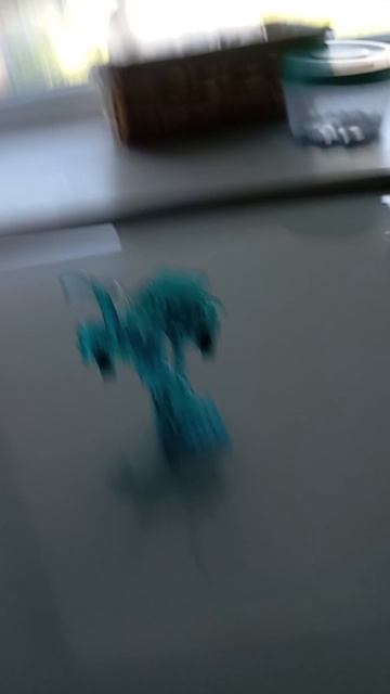 1000027545.mp4