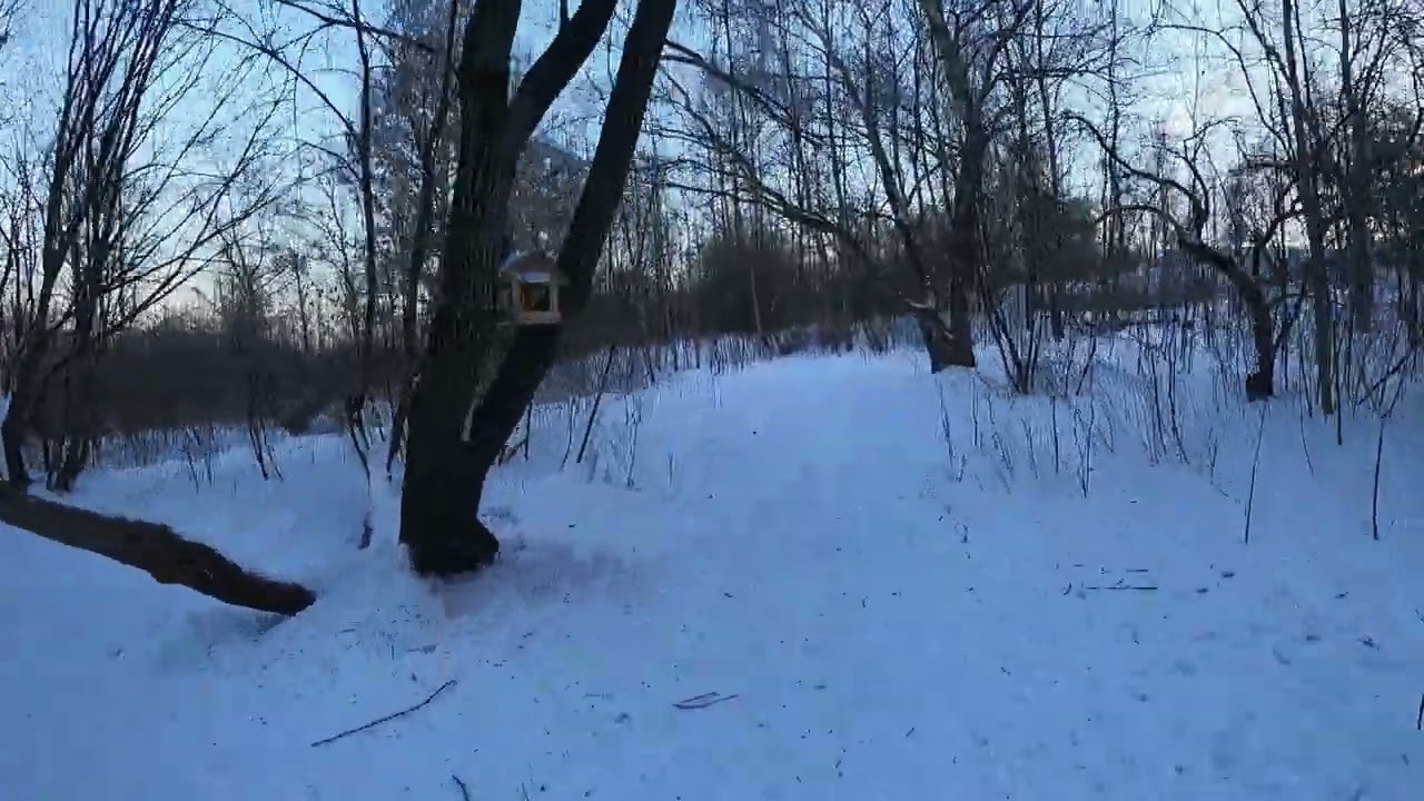 Тропинка зима