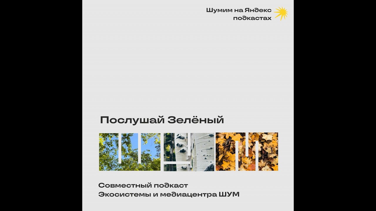 Зелёный ШУМ 04. В гостях  иллюстратор-дизайнер которая всерьез обеспокоена темами экологии Ал...