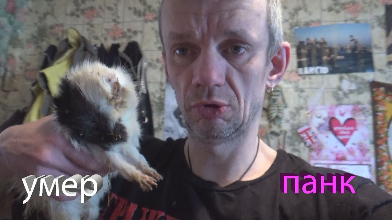 умер панк