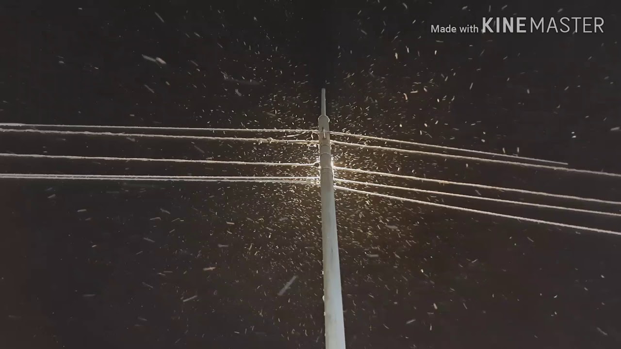 Снегопад ночью.Красивое видео.Космический снегопад.