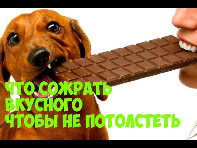Что сожрать если хочется вкусняшку и не хочется толстеть?