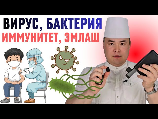 ВИРУС ВА БАКТЕРИЯ ФАРҚИ ЭМЛАНИШ НЕГА АНТИБИОТИК ВИРУСГА ТАЪСИР ҚИЛМАЙДИ ИММУНИТЕТ КЎТАРИШ АЖОЙИБ