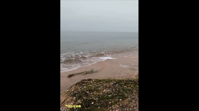 Звуки Азовского моря