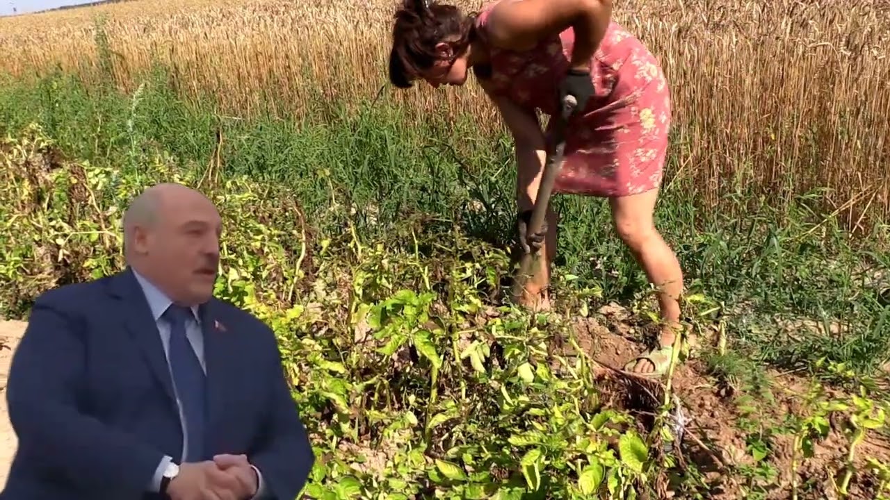 А я сейчас вам покажу...  Lukashenko Meme