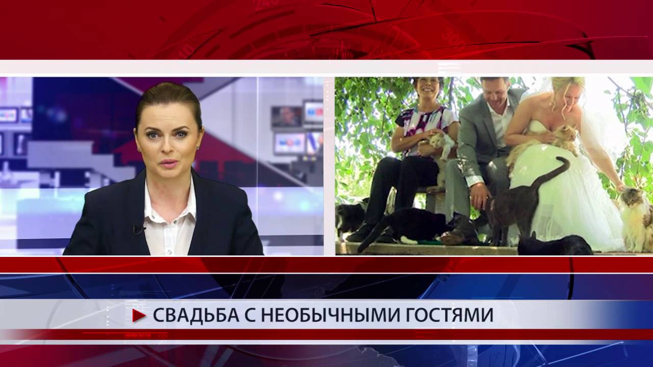 Свадьба с необычными гостями