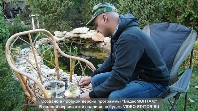 Рапана на мангале рецепт барбекю