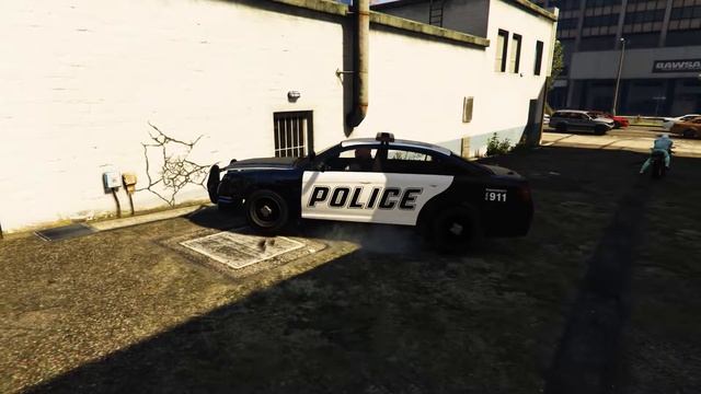 LS crazy Police