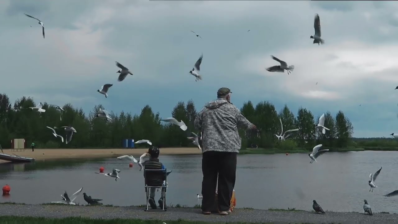 Промо ролик Berezyanka - патриотическая линейка одежды - Ванюшичев Иван #сертолово
