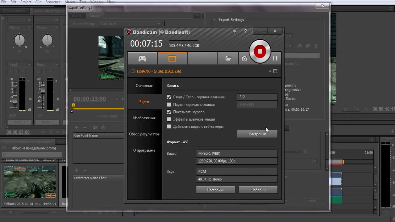 Bandicam Как пользоваться Как работать Как записывать Обзор функций Елена Есарева1133