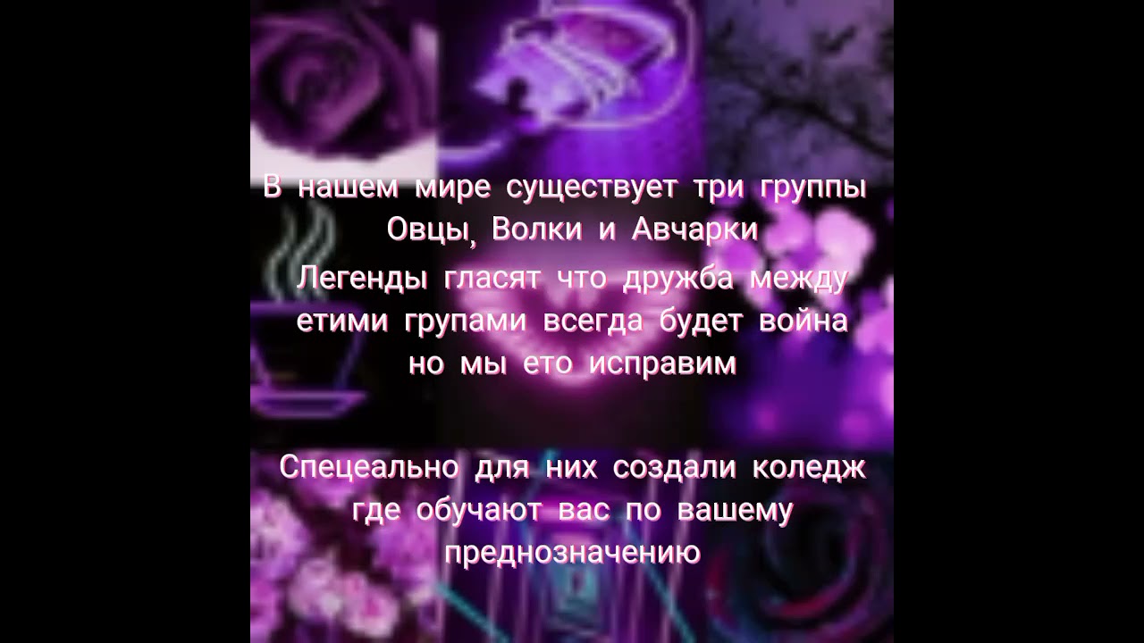 ффТи и ЧпунькТи и Никитаакадемия 3 груп