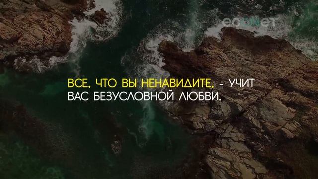 7 жизнеутверждающих фраз монтаж ролика в After Effects