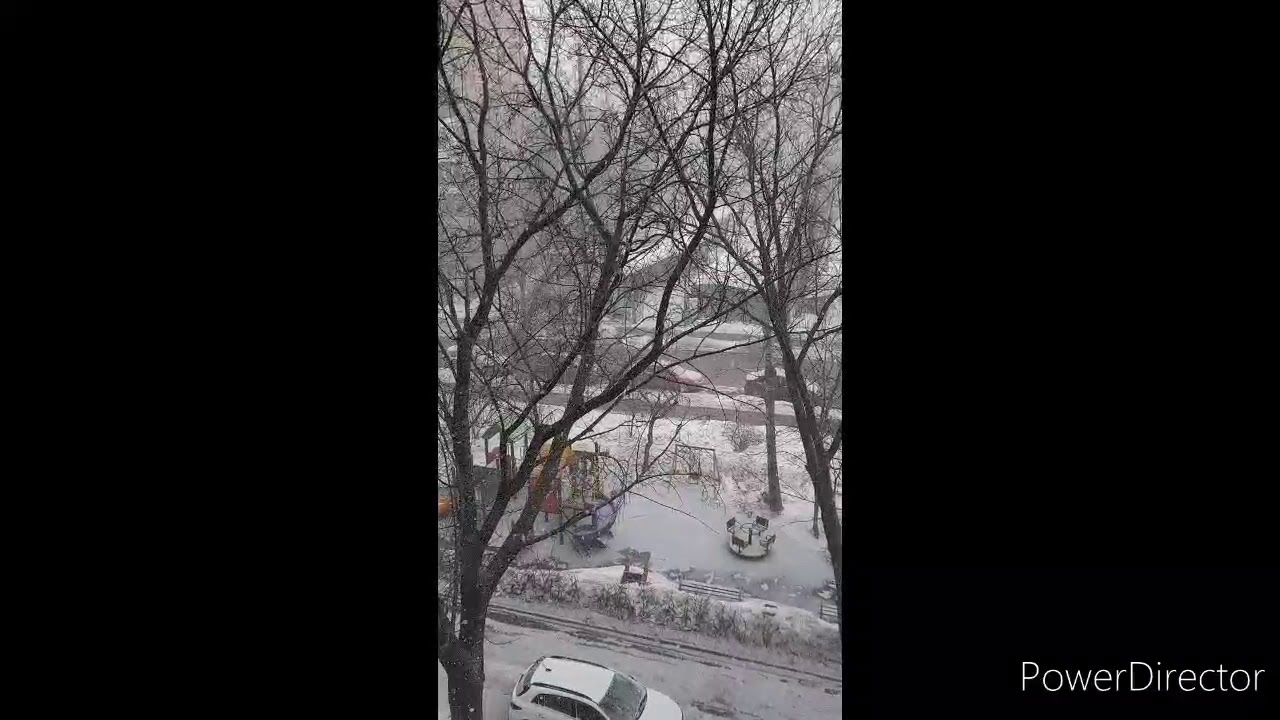 Shorts - Как красиво падает снег! Вид из окна!Москва 05.03.21 год.